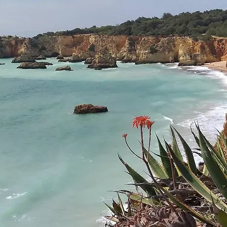 Mar Paisagem アパート